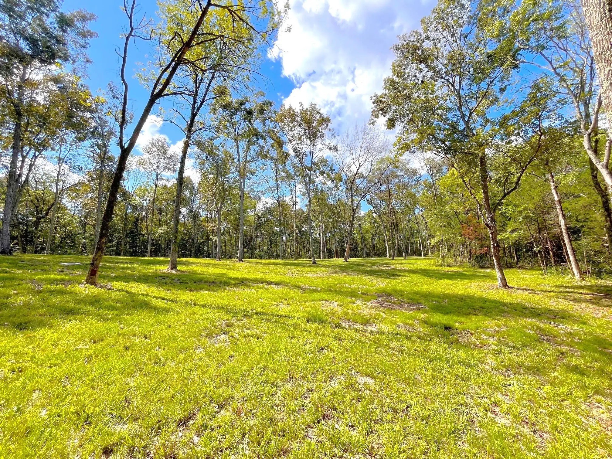 261 Blackbird Road Mount Juliet, TN 37122 - Photo 31 of 36 a view of a swimming pool with an outdoor space and seating area