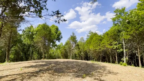 a view of road and trees