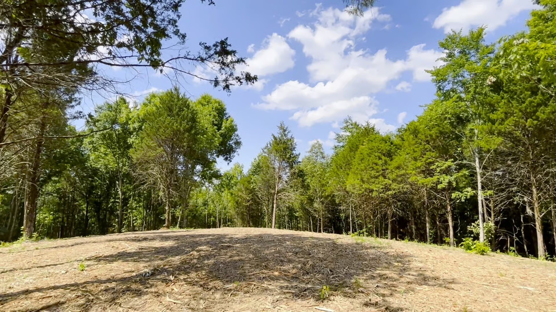 261 Blackbird Road Mount Juliet, TN 37122 - Photo 33 of 36 a view of a yard with snow on the road