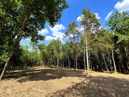 $1,290,000 | 261 Blackbird Road, Mount Juliet, TN 37122