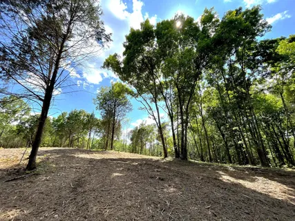 $1,290,000 | 261 Blackbird Road, Mount Juliet, TN 37122