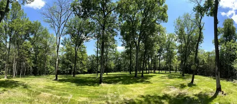 a view of a park with large trees