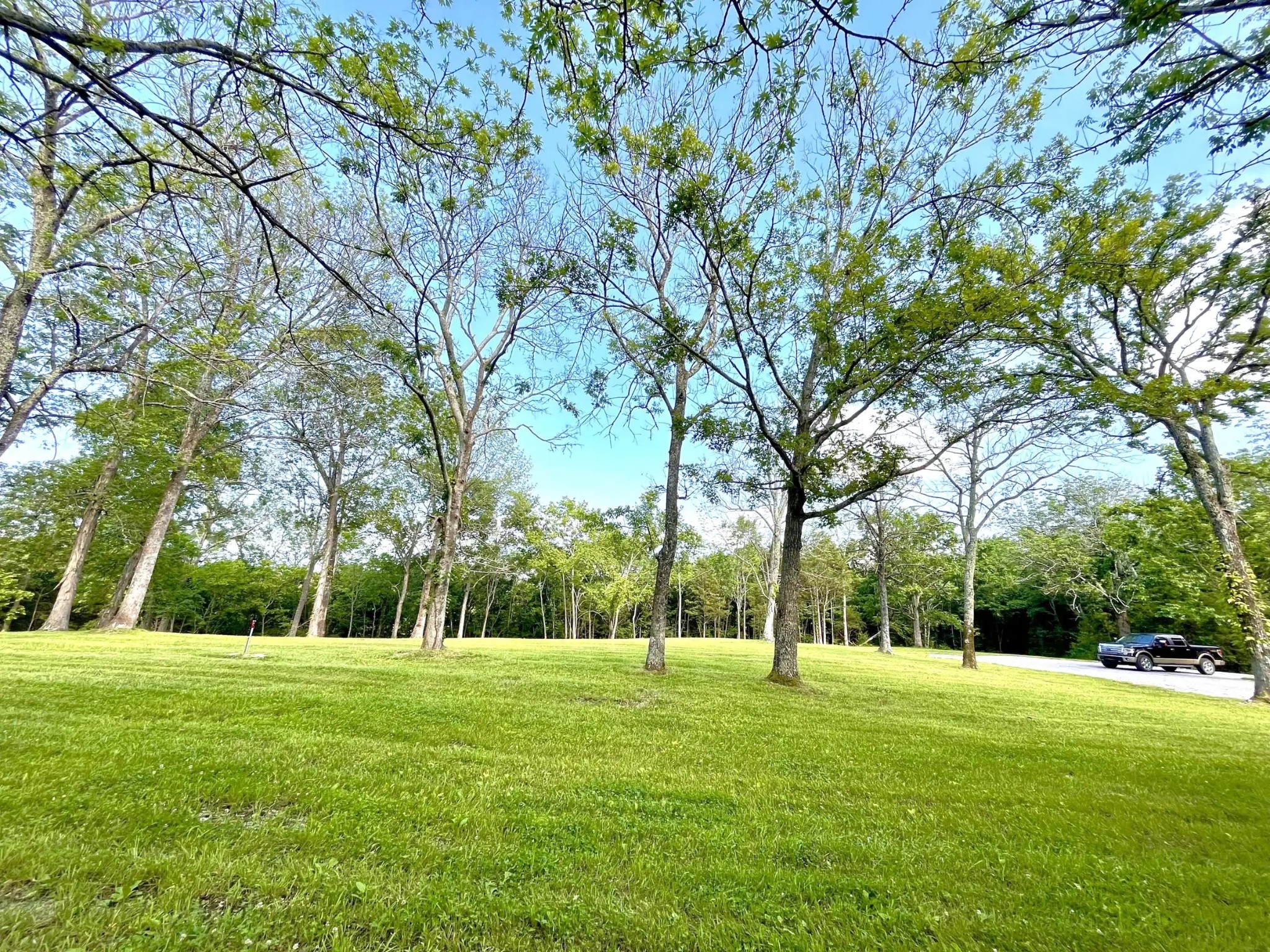 261 Blackbird Road Mount Juliet, TN 37122 - Photo 6 of 36 a view of a park with large trees