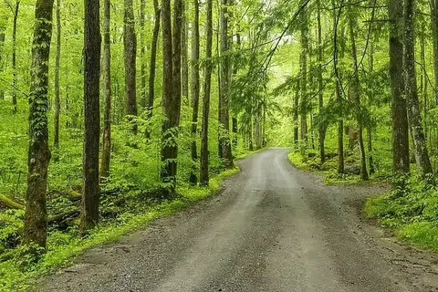 a view of outdoor space