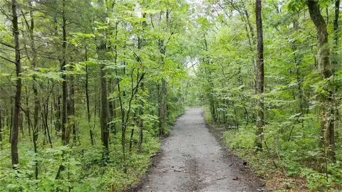 a view of a grassy field with trees in the background