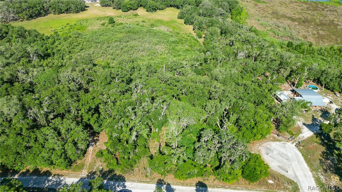 4240 South Kenvera Loop Inverness, FL 34450 - Photo 6 of 12