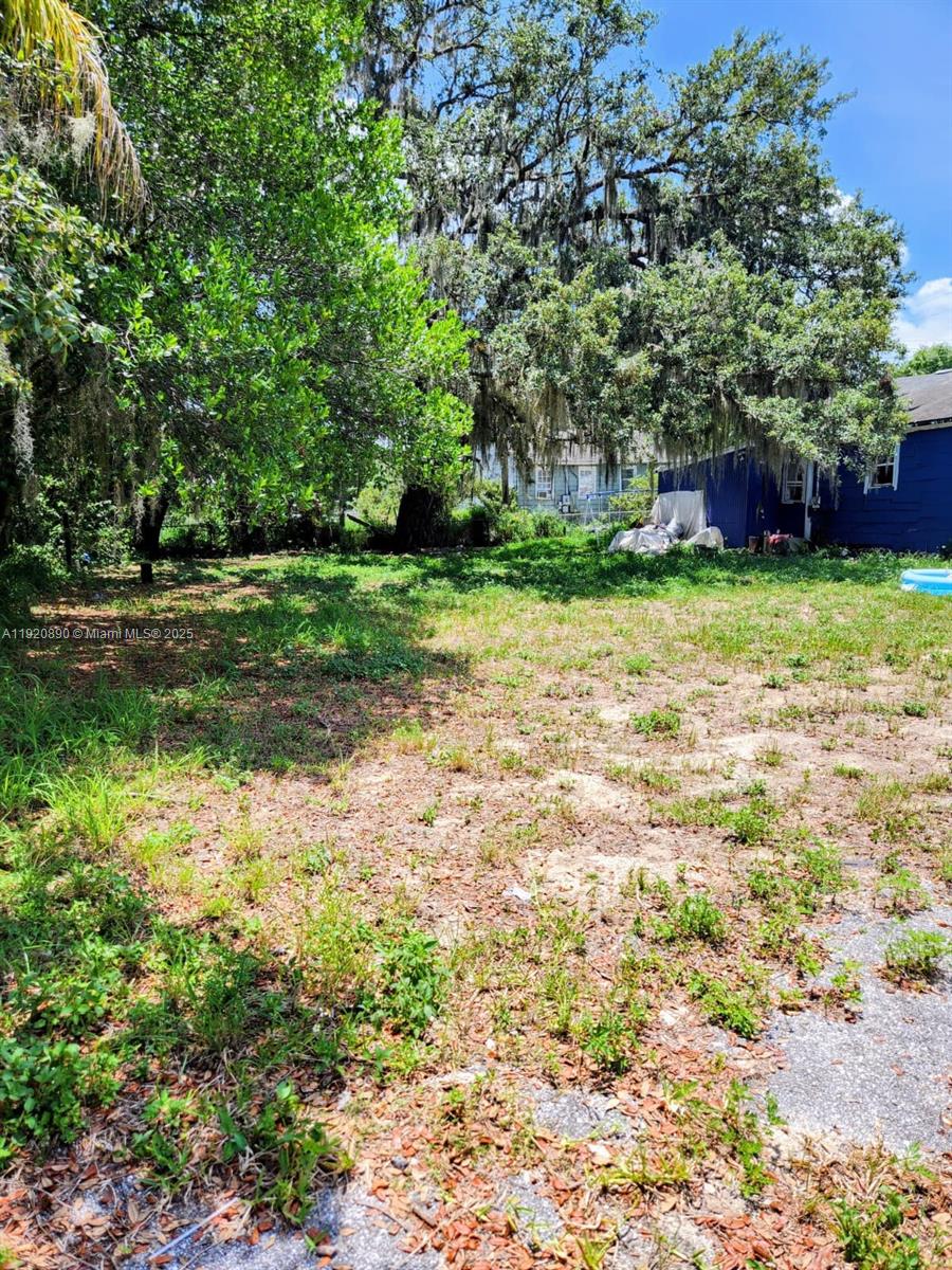 4807 3rd Street Sebring, FL 33870 - Photo 1 of 3 a backyard of a house with lots of green space