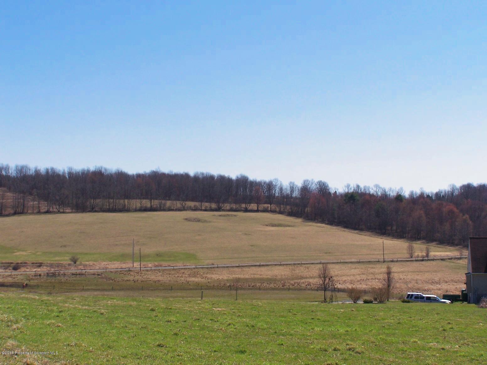 King Road Meshoppen, PA 18630 - Photo 6 of 25 K326_ViewofLot