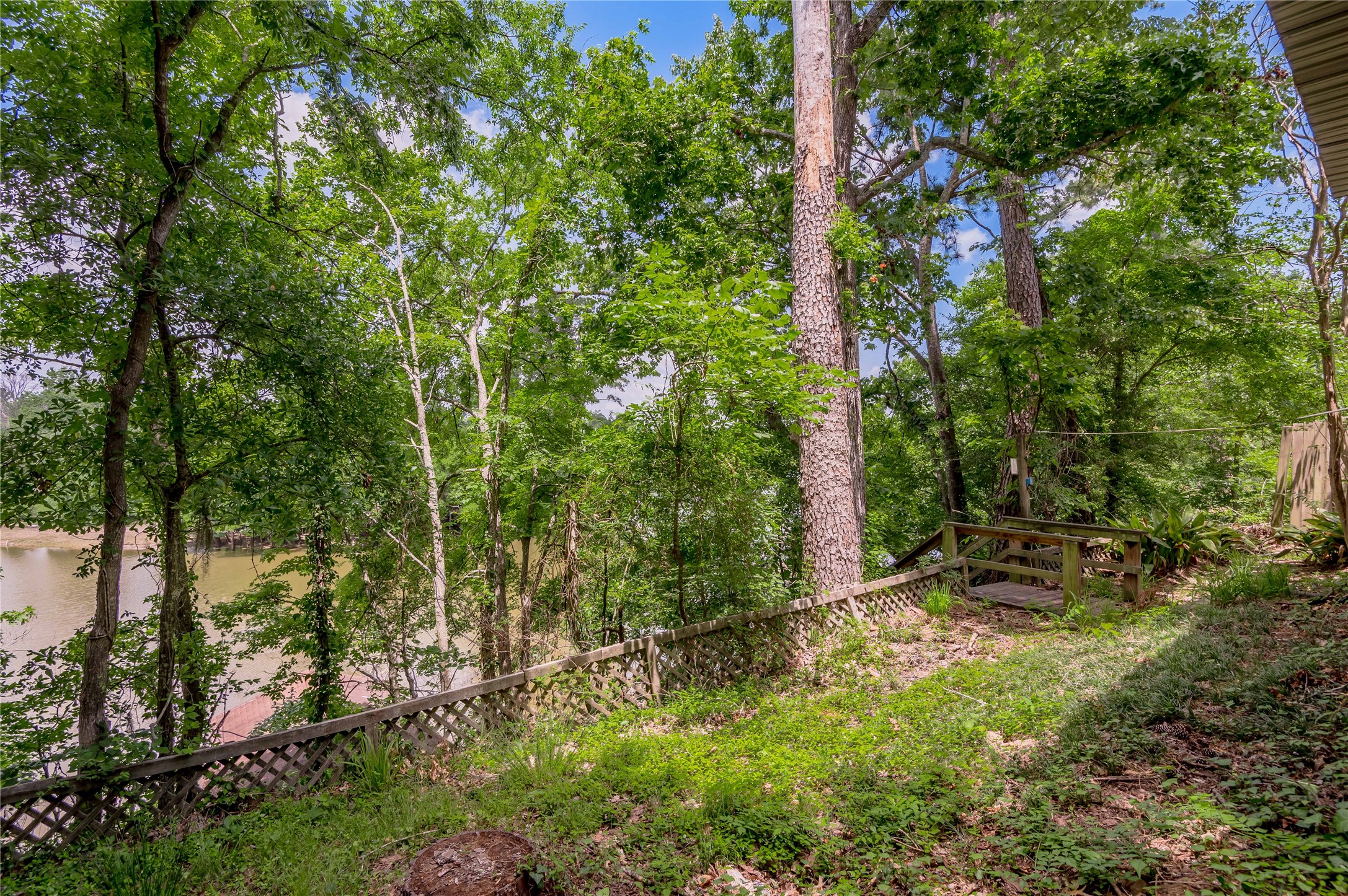 109 Hill Top Road Huntsville, TX 77320 - Photo 36 of 38 a view of a yard with large trees