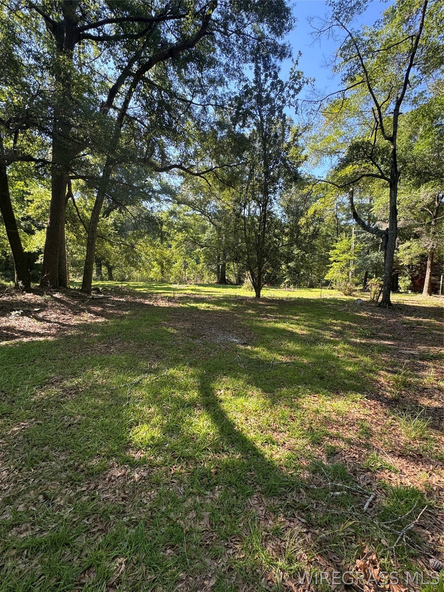 20680 Collie Road Andalusia, AL 36421 - Photo 5 of 22 Gallery Image 5