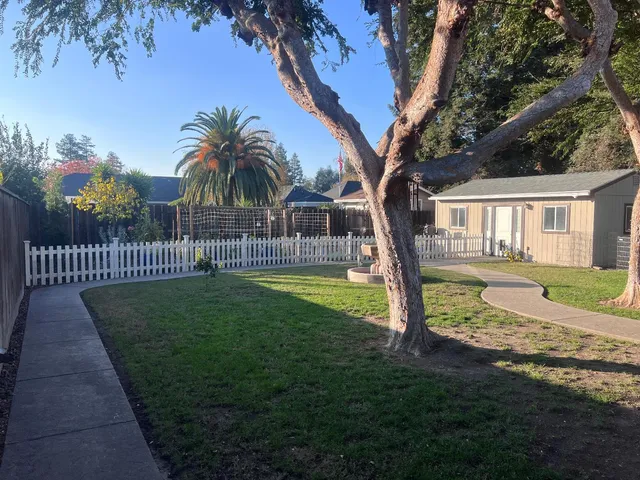 a view of a house with backyard and tree
