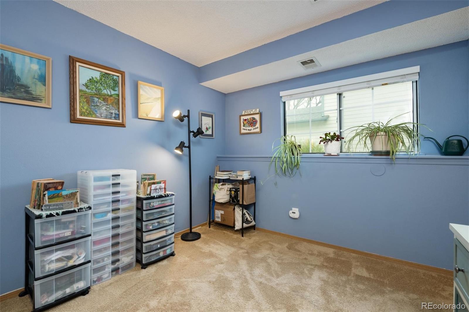 553 East Chiswick Circle Highlands Ranch, CO 80126 - Photo 17 of 19