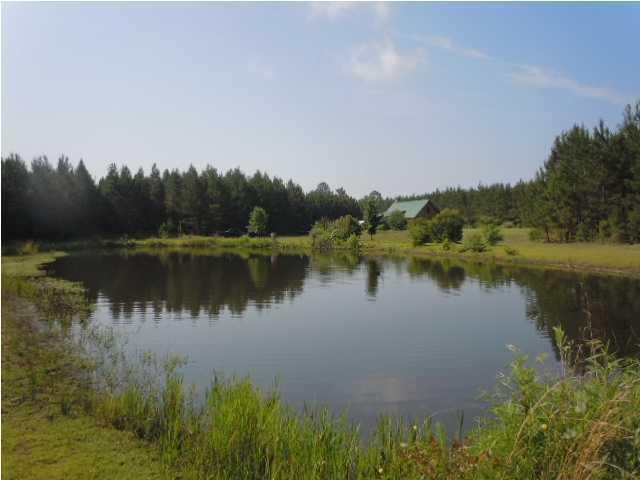 1775 County Rd S-25-42 Varnville, SC 29944 - Photo 2 of 45 20150715210854459303000000-o