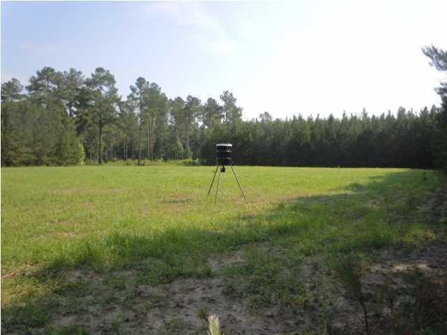 1775 County Rd S-25-42 Varnville, SC 29944 - Photo 12 of 45 20150715210855956876000000-o