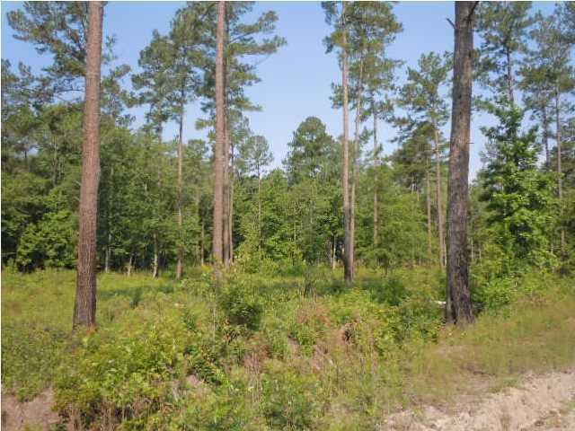 1775 County Rd S-25-42 Varnville, SC 29944 - Photo 14 of 45 20150715210856272712000000-o