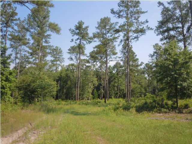 1775 County Rd S-25-42 Varnville, SC 29944 - Photo 15 of 45 20150715210856351754000000-o