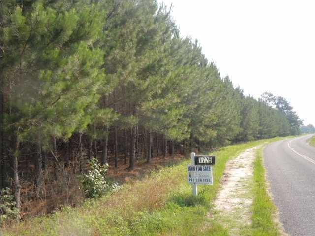 1775 County Rd S-25-42 Varnville, SC 29944 - Photo 20 of 45 20150715210857074778000000-o