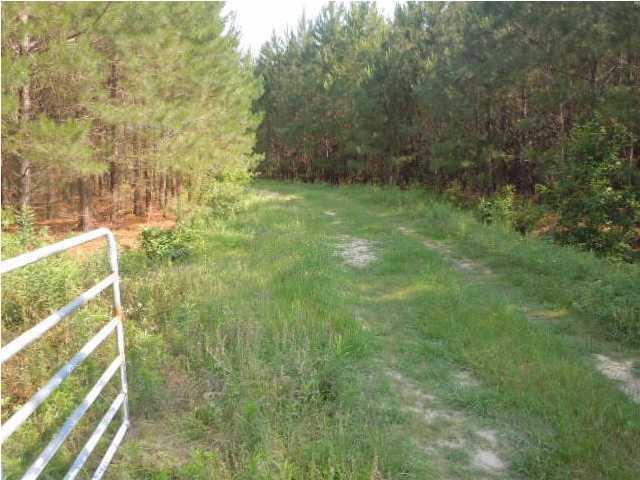 1775 County Rd S-25-42 Varnville, SC 29944 - Photo 22 of 45 20150715210857170546000000-o