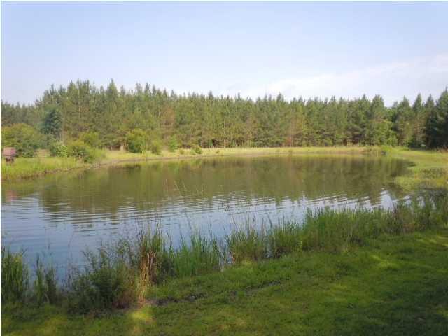 1775 County Rd S-25-42 Varnville, SC 29944 - Photo 23 of 45 20150715210857526085000000-o