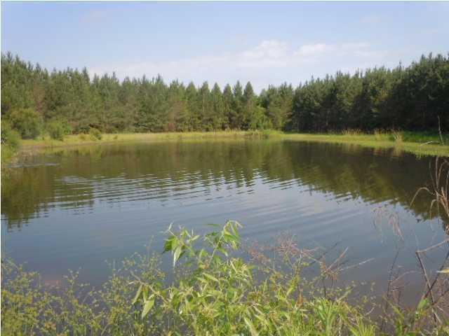 1775 County Rd S-25-42 Varnville, SC 29944 - Photo 24 of 45 20150715210855609813000000-o