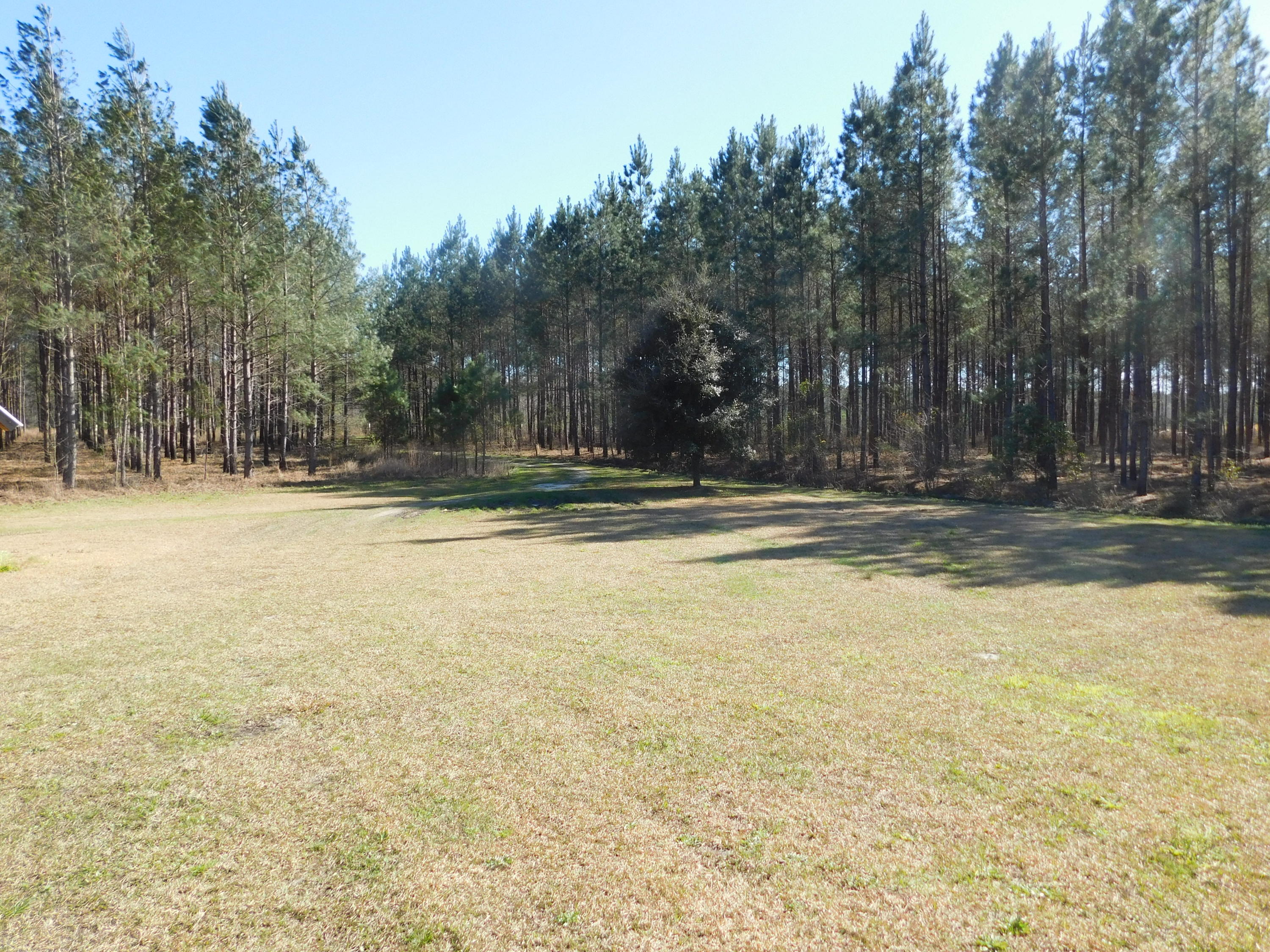 1775 County Rd S-25-42 Varnville, SC 29944 - Photo 33 of 45 DSCN0573