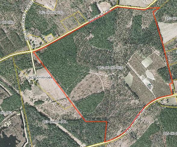 1775 County Rd S-25-42 Varnville, SC 29944 - Photo 38 of 45 1775 Ram Horn Aerial