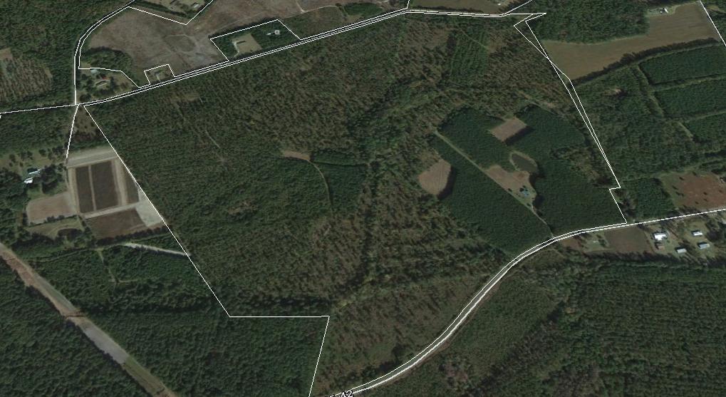 1775 County Rd S-25-42 Varnville, SC 29944 - Photo 5 of 45 Ram Horn 240 New aerial