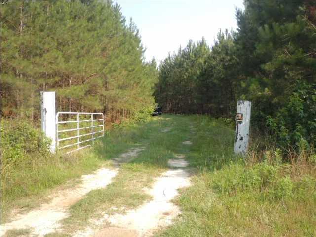 1775 County Rd S-25-42 Varnville, SC 29944 - Photo 6 of 45 20150715210855562666000000-o