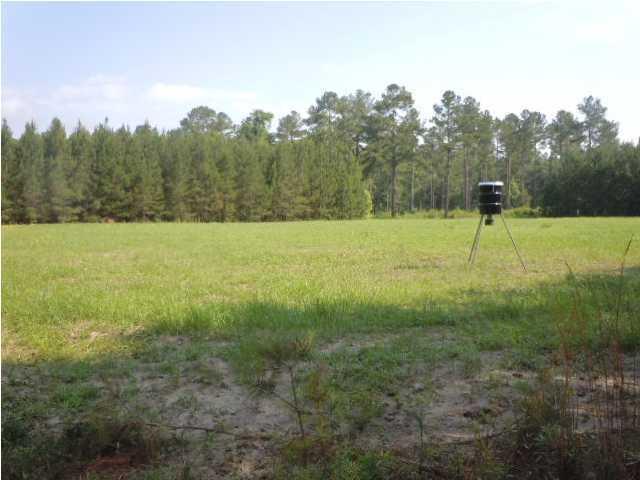 1775 County Rd S-25-42 Varnville, SC 29944 - Photo 7 of 45 20150715210854842559000000-o