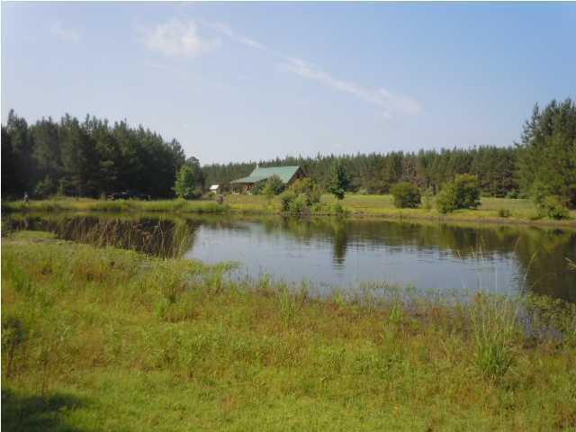 1775 County Rd S-25-42 Varnville, SC 29944 - Photo 9 of 45 20150715210858027234000000-o