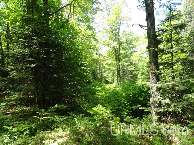 N7680 Dunham Road Wakefield, MI 49968 - Photo 35 of 45