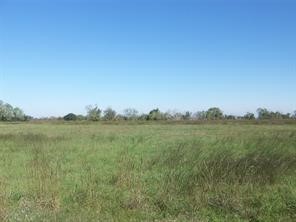 1703 Apache Angleton, TX 77515 - Photo 4 of 4 a view of lake and mountain view