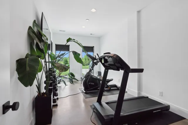 a living room with furniture and potted plant