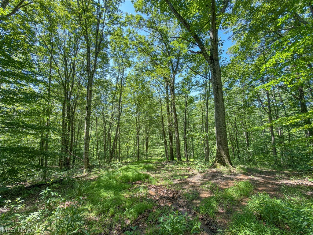 0 Twp Road Marietta, OH 45750 - Photo 29 of 50