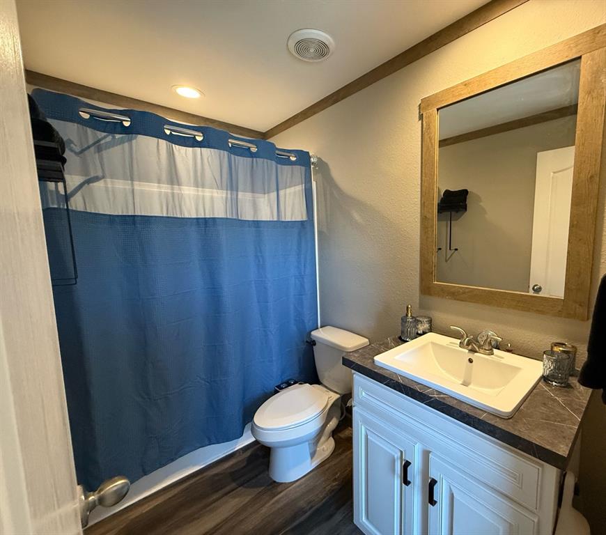 4937 Stuart Road Denton, TX 76207 - Photo 8 of 19 a bathroom with a sink a toilet a mirror and shower curtain