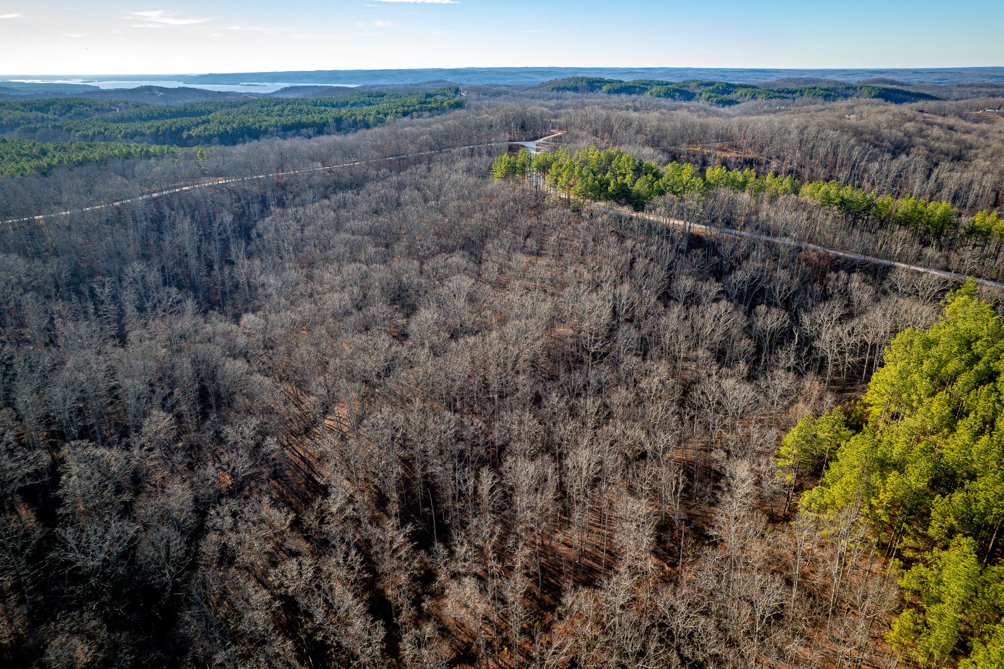 0 Richland Harbor Road Waverly, TN 37185 - Photo 3 of 8 a view of a dry yard with trees