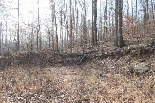 $82,000 | East Bobcat Lane, Wilder, TN 38589