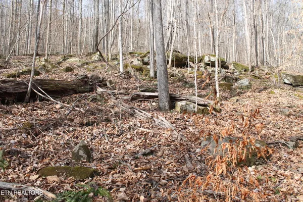 $82,000 | East Bobcat Lane, Wilder, TN 38589