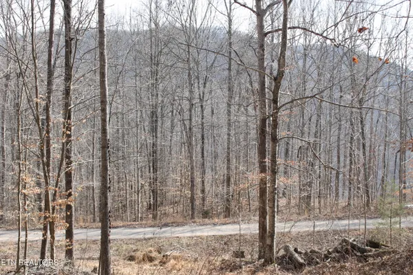$82,000 | East Bobcat Lane, Wilder, TN 38589