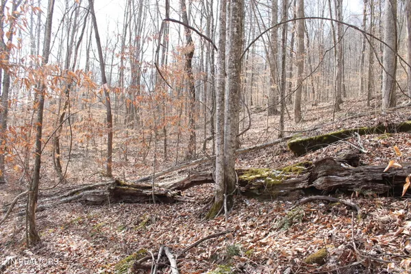 $82,000 | East Bobcat Lane, Wilder, TN 38589
