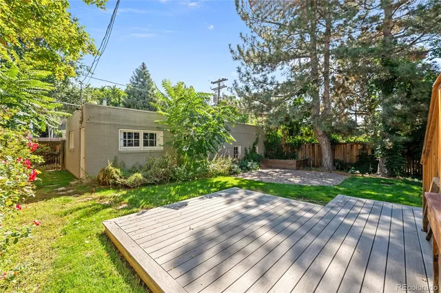 a view of a backyard with plants and large trees