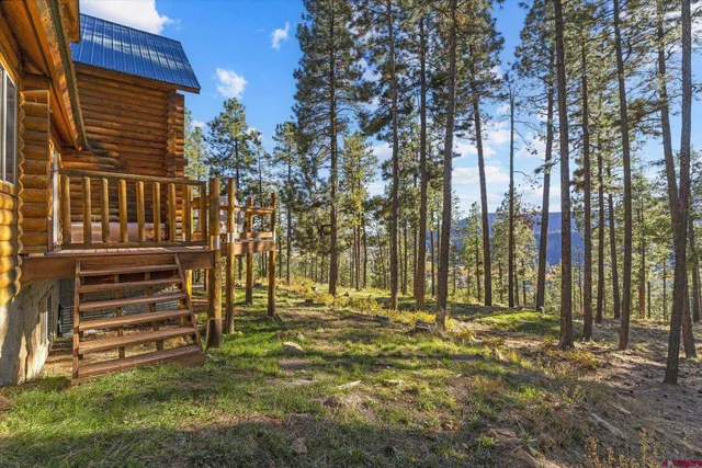 a view of backyard of house