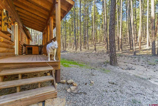 a view of an outdoor space with mountain view