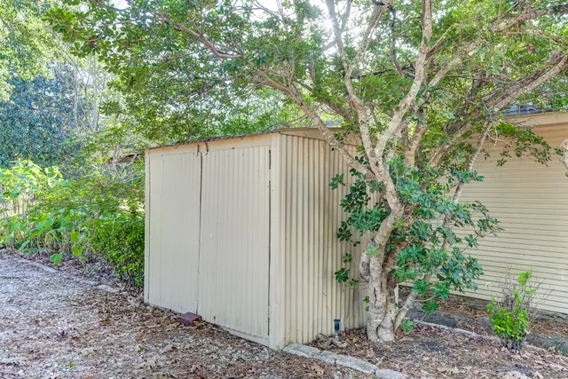 a view of a backyard with plants and large trees