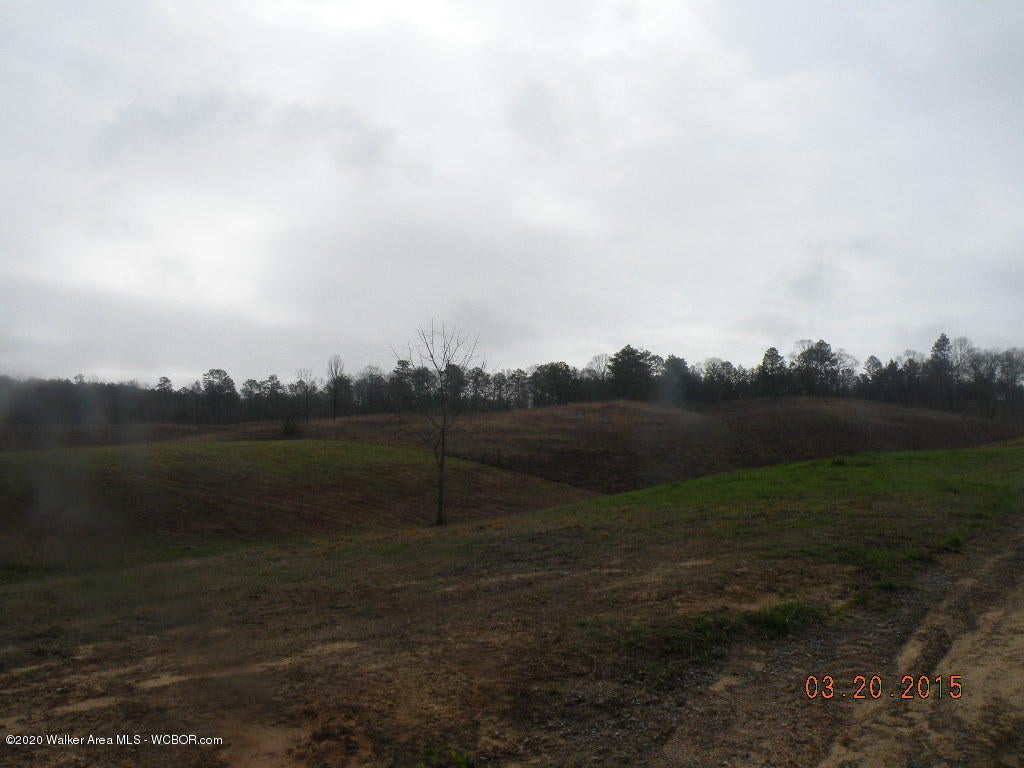 Old Pineywoods Road Jasper, AL 35504 - Photo 1 of 3 Gallery Image 1