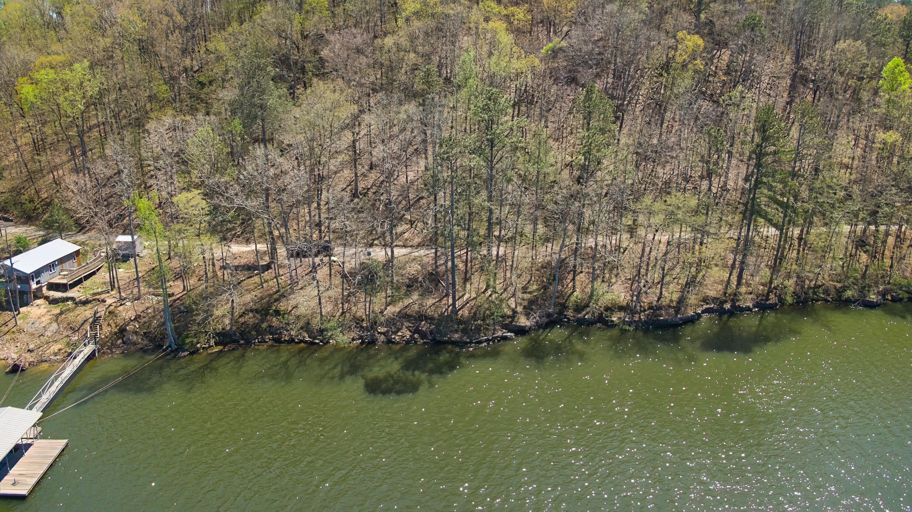 0 Co Road Crane Hill, AL 35053 - Photo 5 of 6 Crooked Creek 6