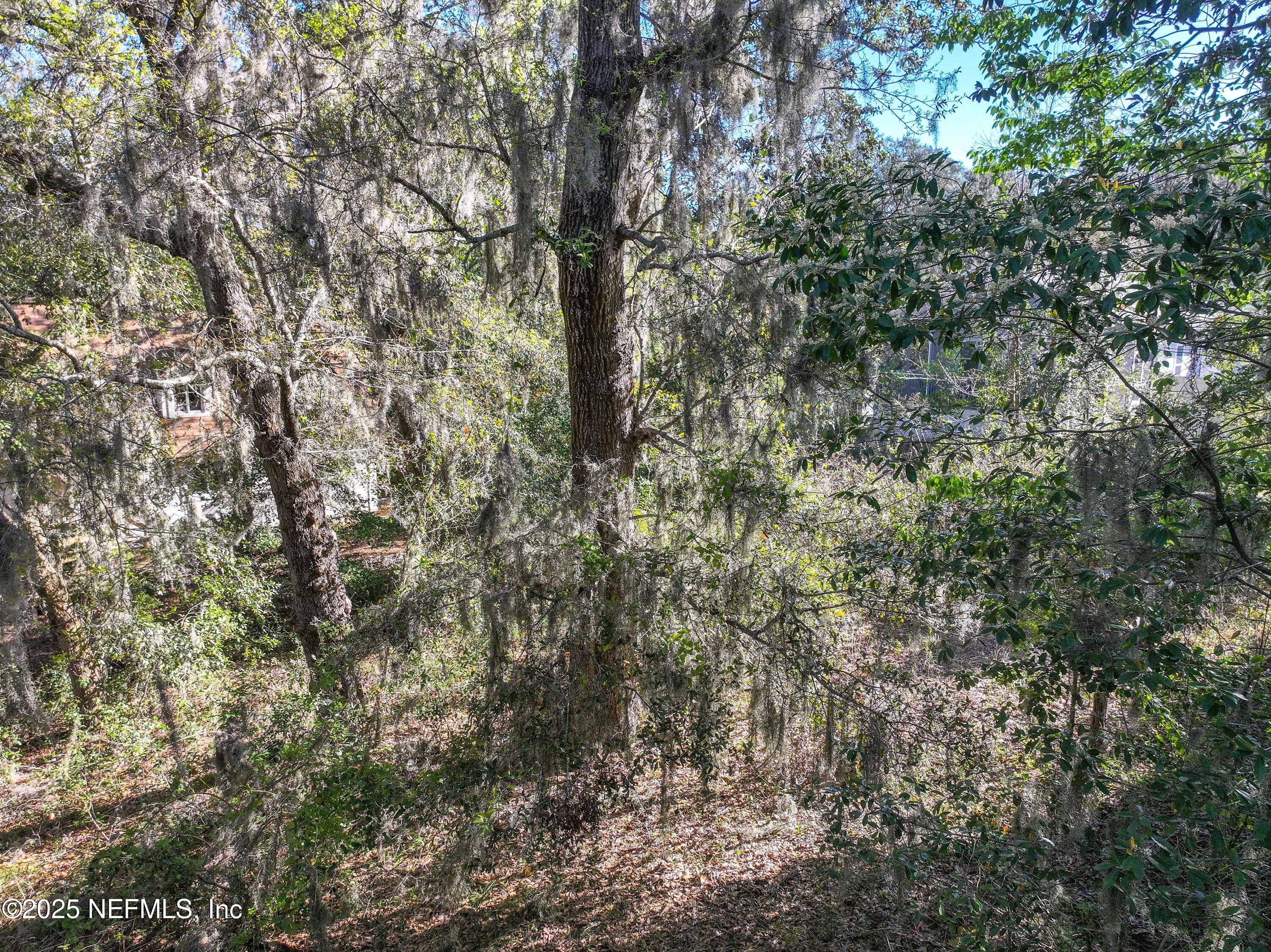 0 Sorensen Terrace Fernandina Beach, FL 32034 - Photo 7 of 19 0 Sorensen Terr_K2 Edit-3