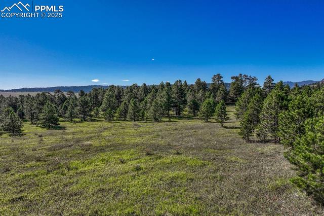 Perry Park Road Larkspur, CO 80118 - Photo 11 of 50 Gallery Image 11