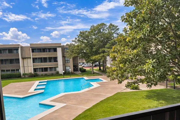 a view of an swimming pool with a yard and large trees