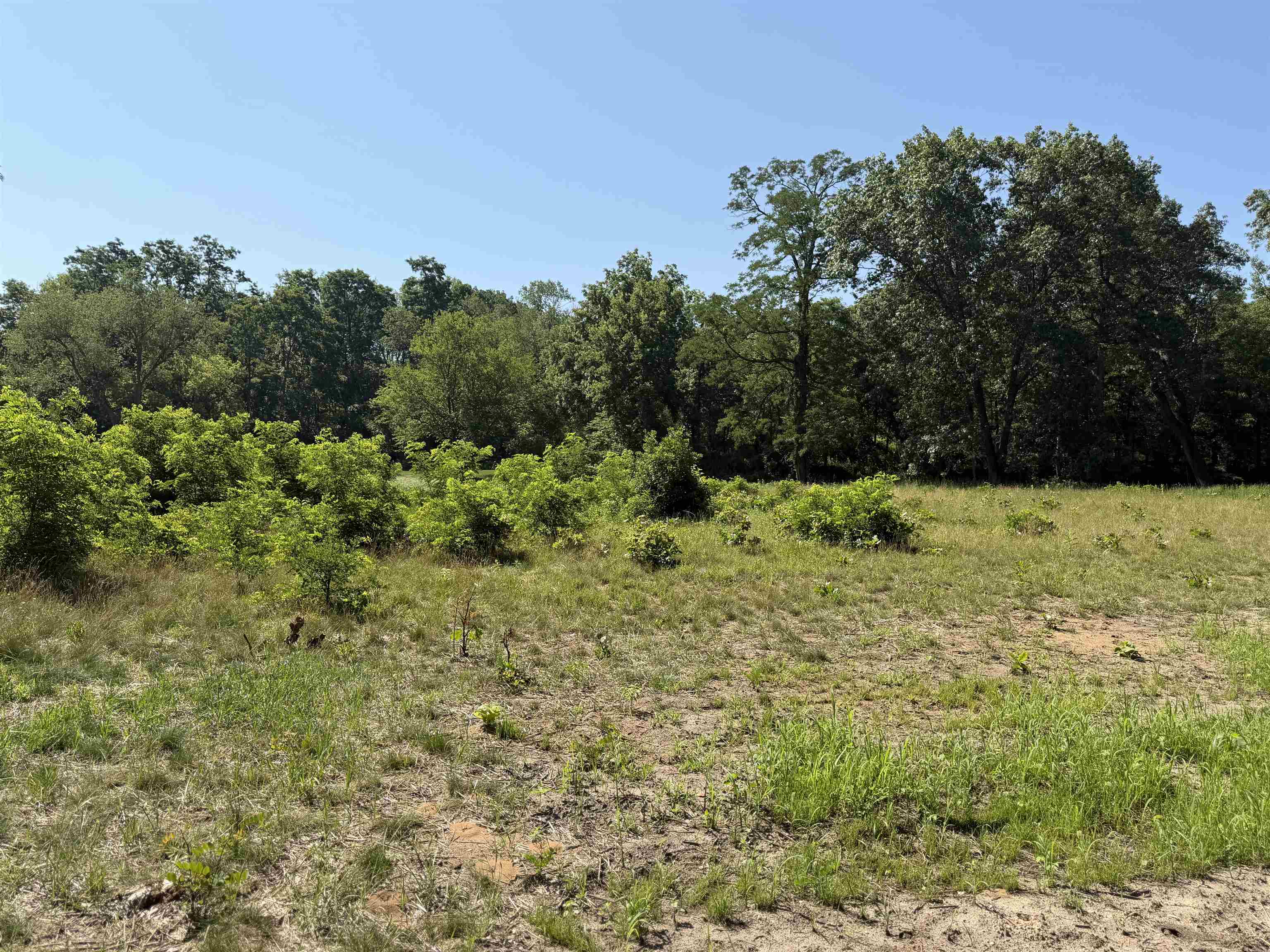 Lot 1-csm 6359 Bay Lodi, WI 53555 - Photo 3 of 16